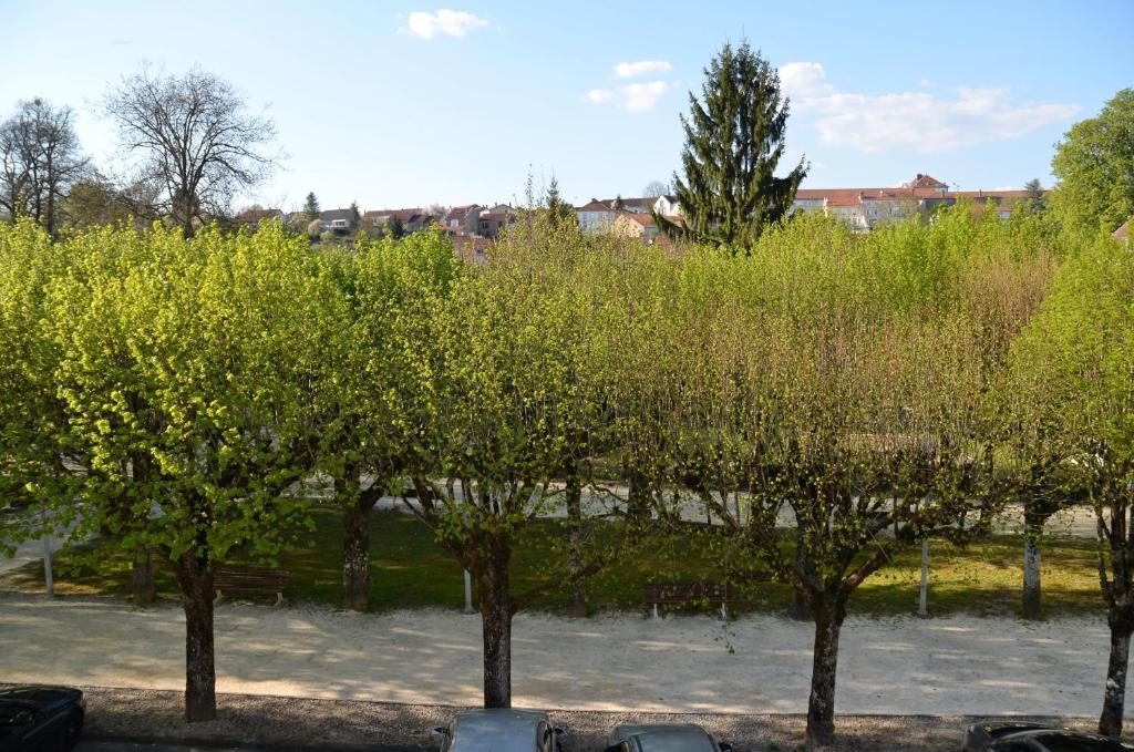 Hotel Et Studios D'Orfeuil Bourbonne-les-Bains Cameră foto