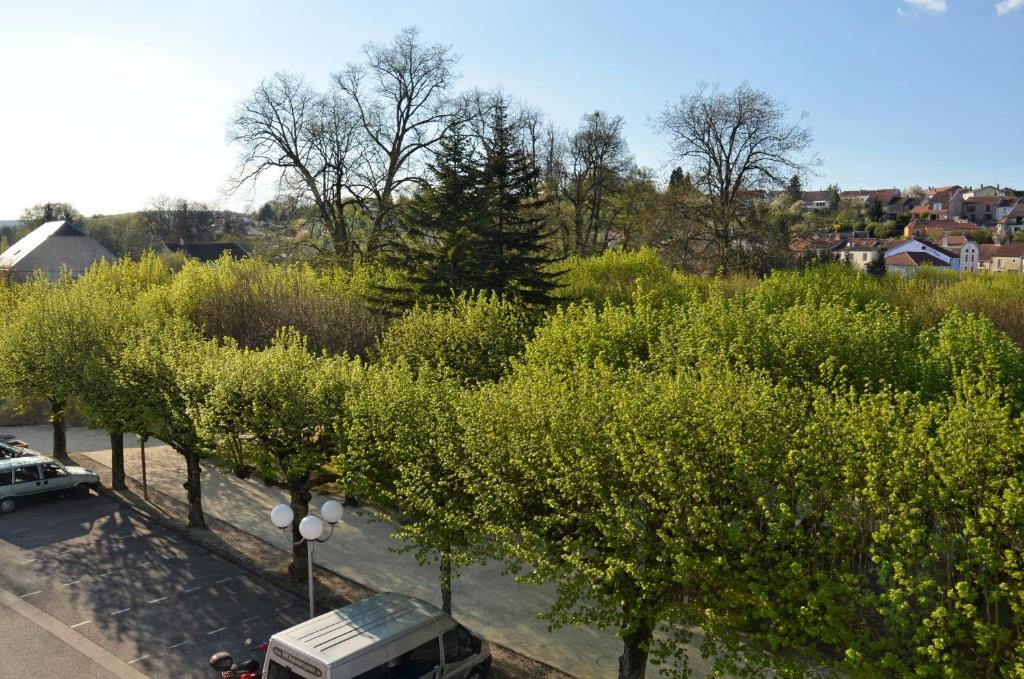 Hotel Et Studios D'Orfeuil Bourbonne-les-Bains Cameră foto
